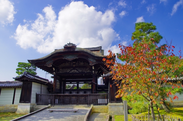 仁和寺の概要